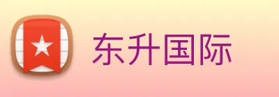 东升国际 Logo